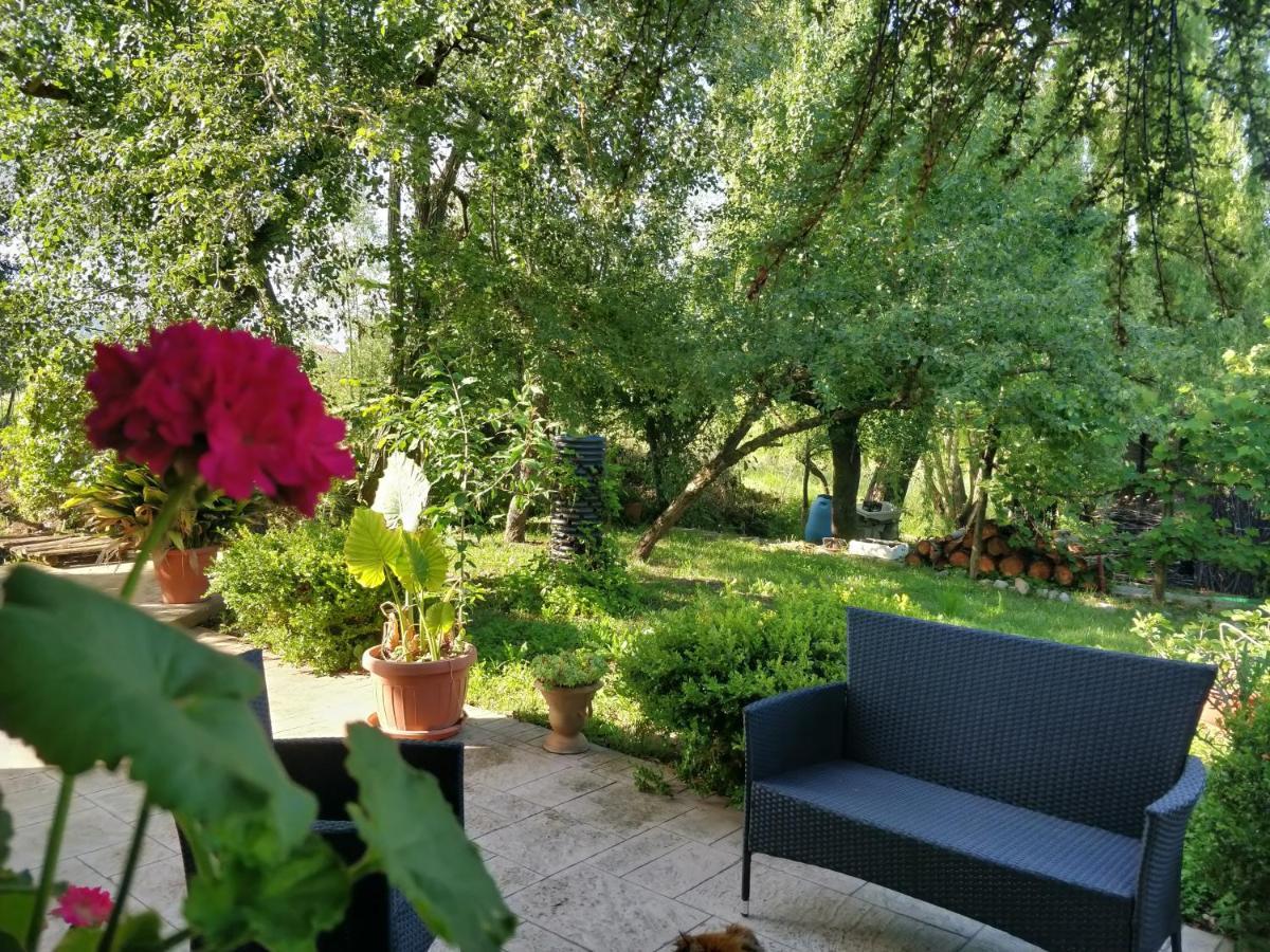 Da Nonna Mariuccia Bed and Breakfast Casalbuono Eksteriør billede